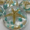 Transparent resin round starfish decorative items, creative handcrafted materials, DIY jewelry accessories, multiple options available Application Scenario